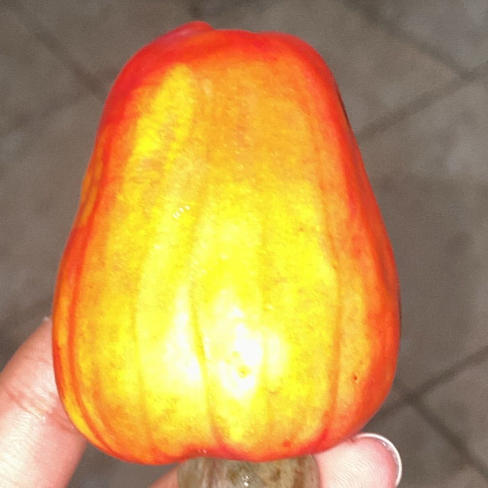 clô