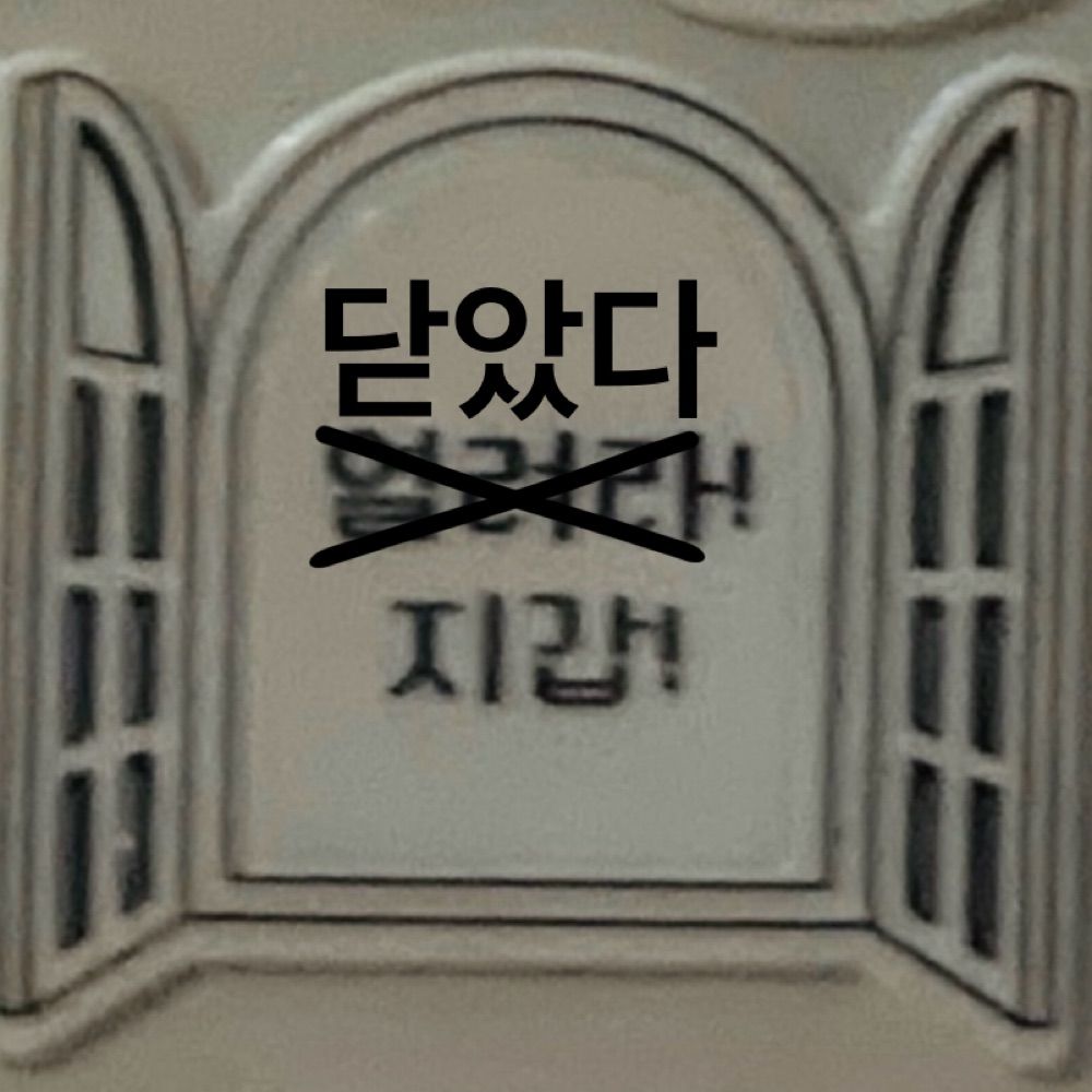 진달래🌸
