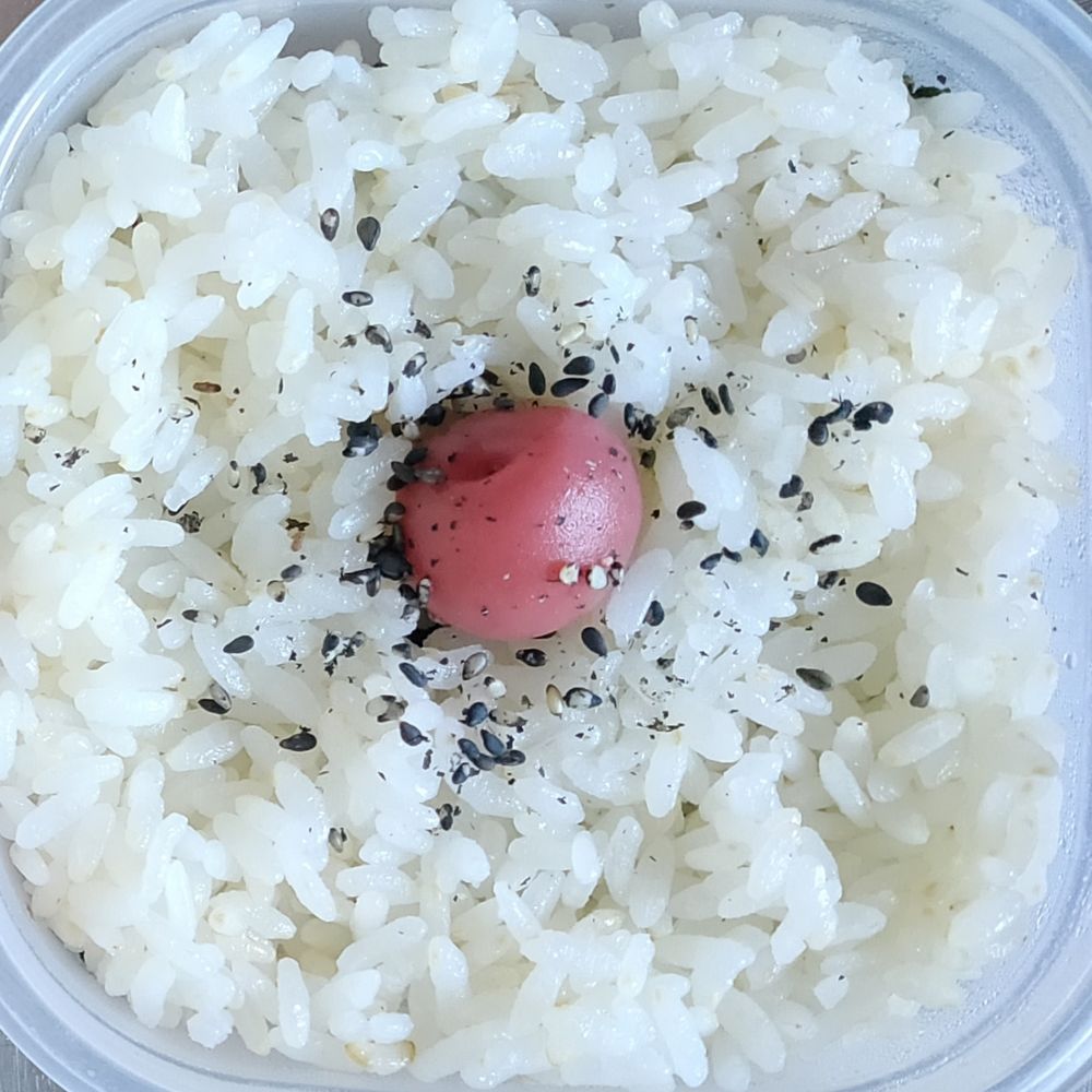 絲内