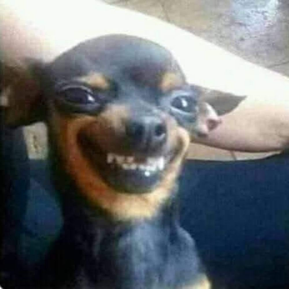 Anjo da Noite 