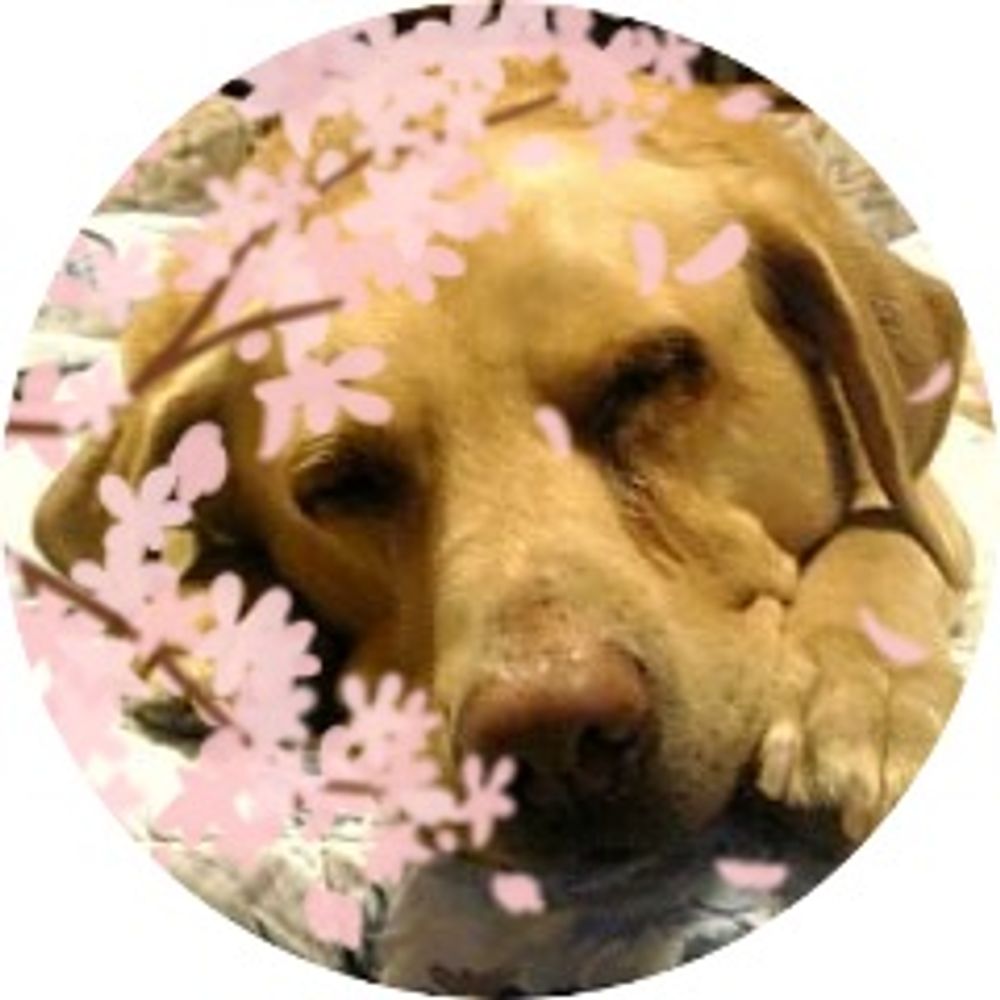 🌸せやから🌸@憲法前文クラスタ