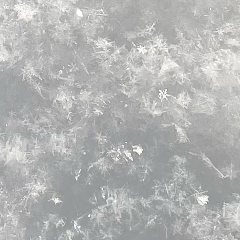 うらひ❄️