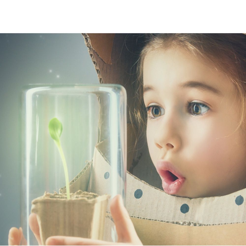 Sci-Seedlets