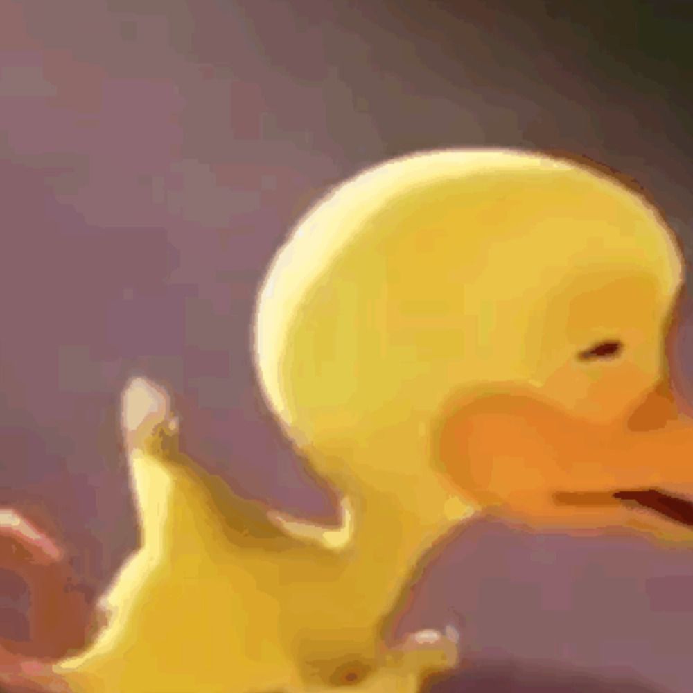 Furzkampfflugzeug