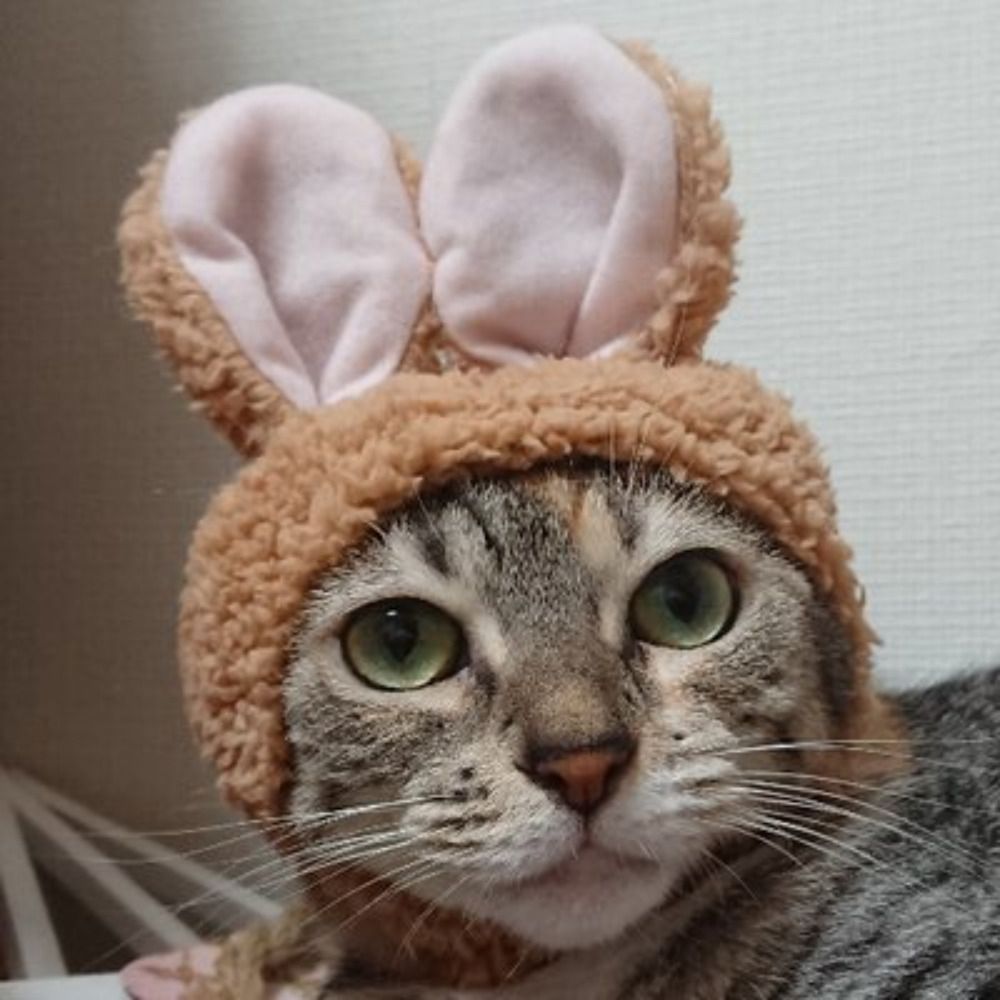 タツキチ