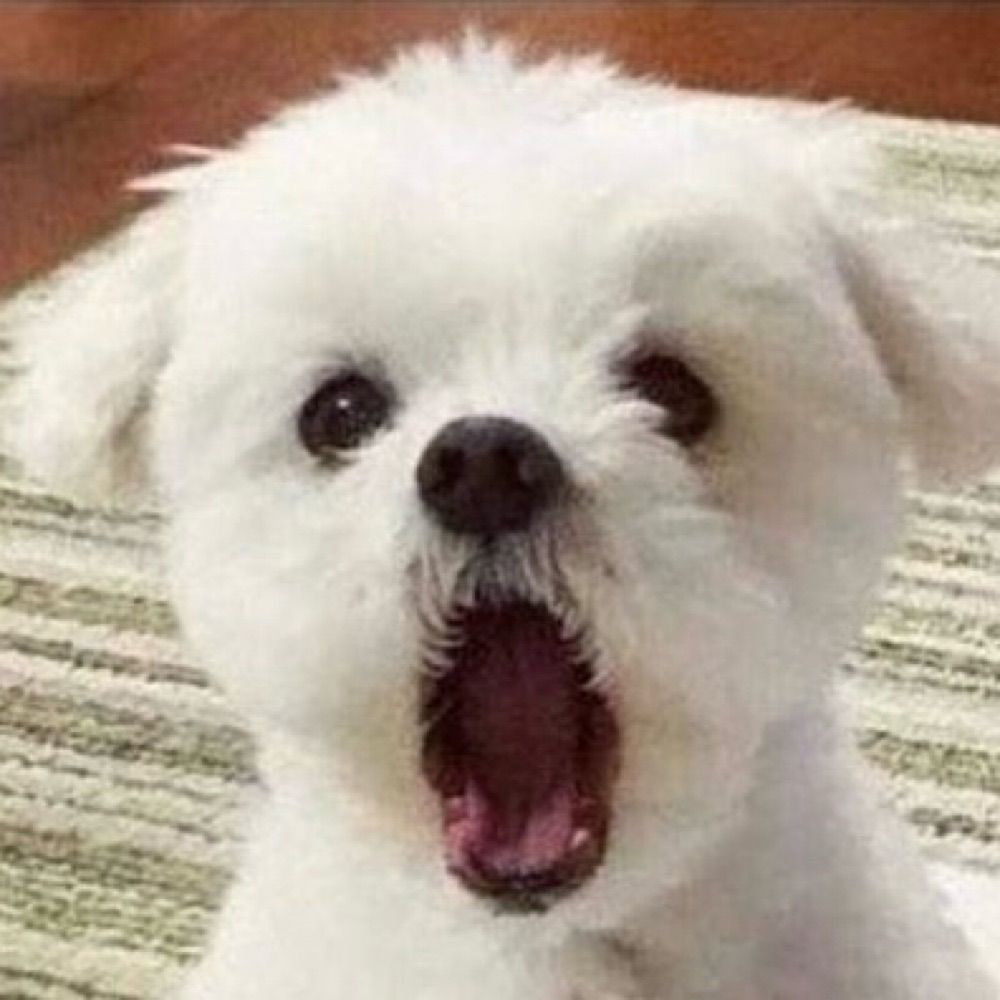 네에츄우시요오