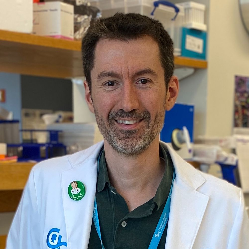 David A. Hill, MD, PhD