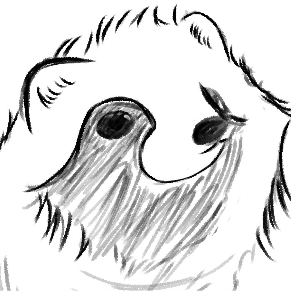 青狸