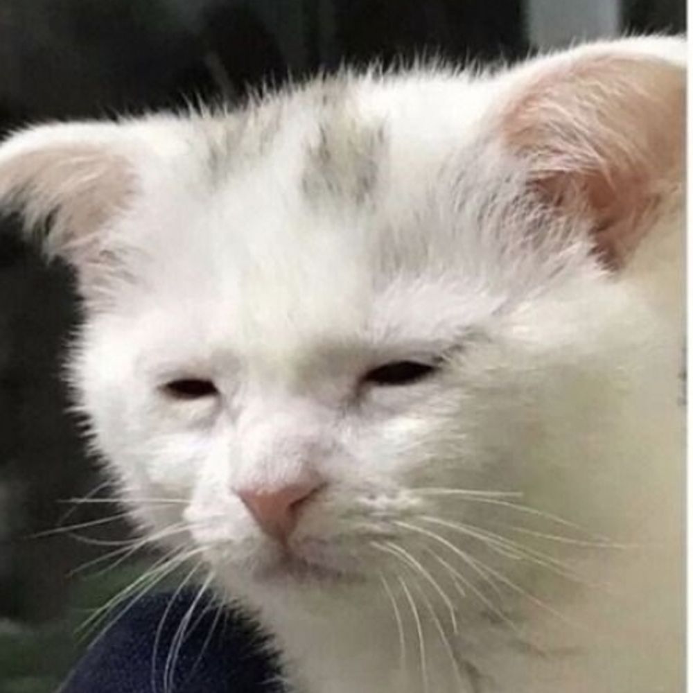Lug