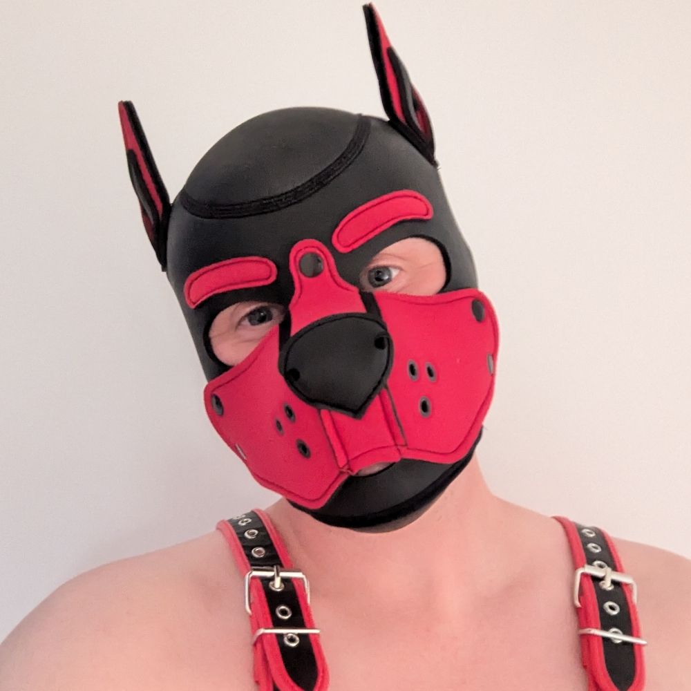 Osian the pup