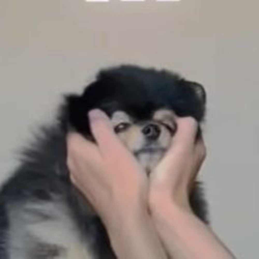 Maddie vmin truther