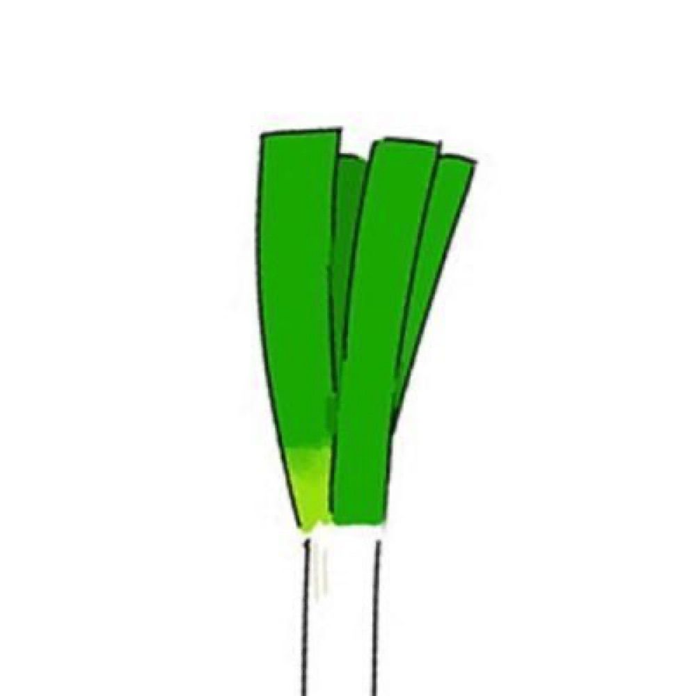 ネギぞ