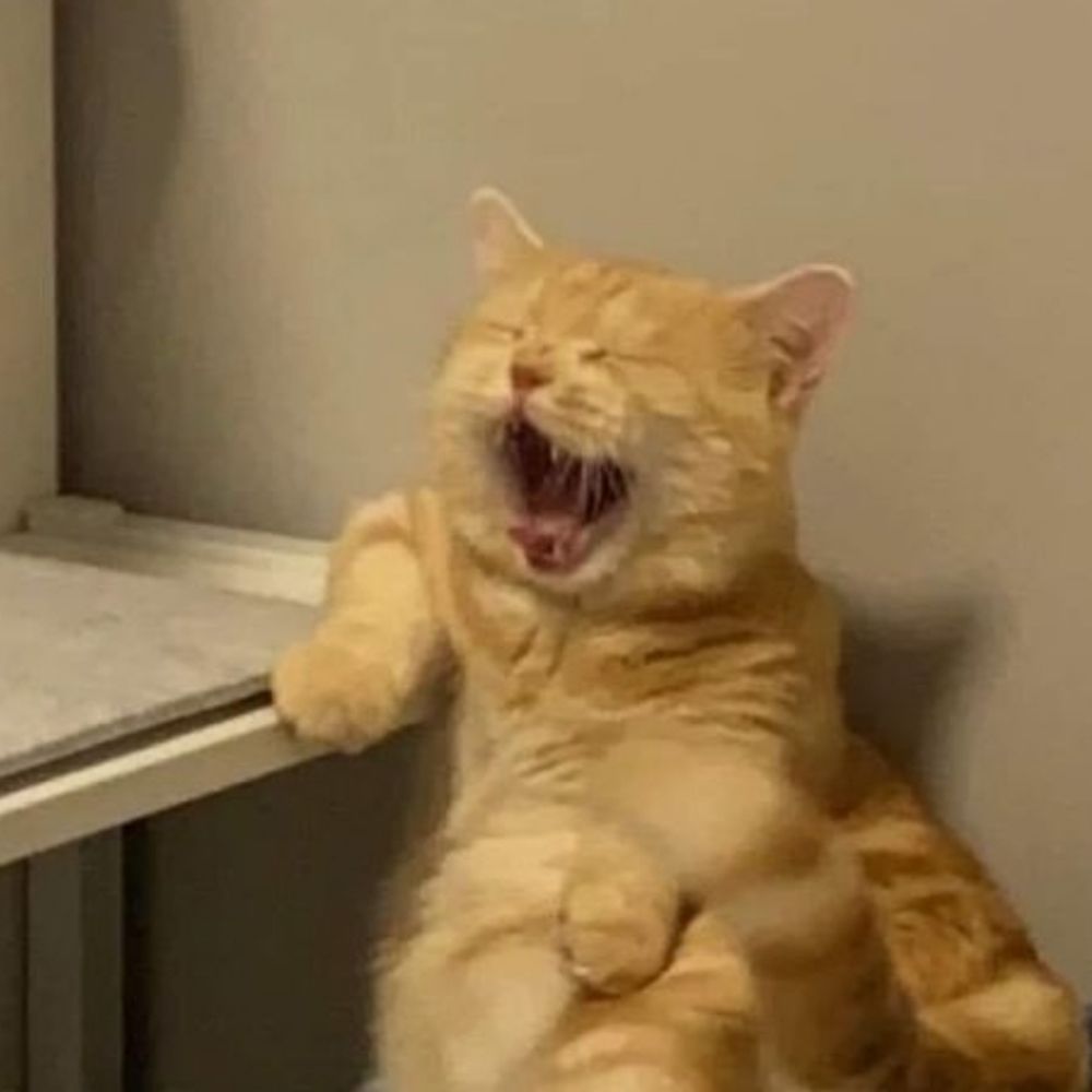 •ө•