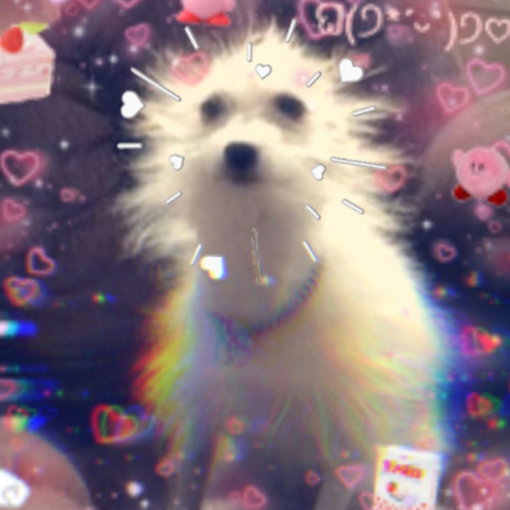 양초