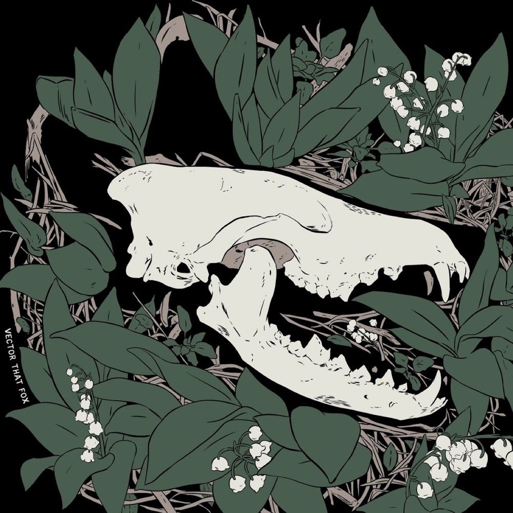 Vector That Fox