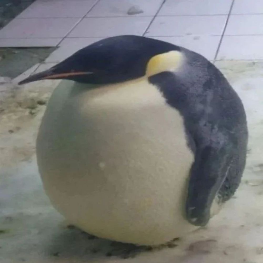 자택경비원