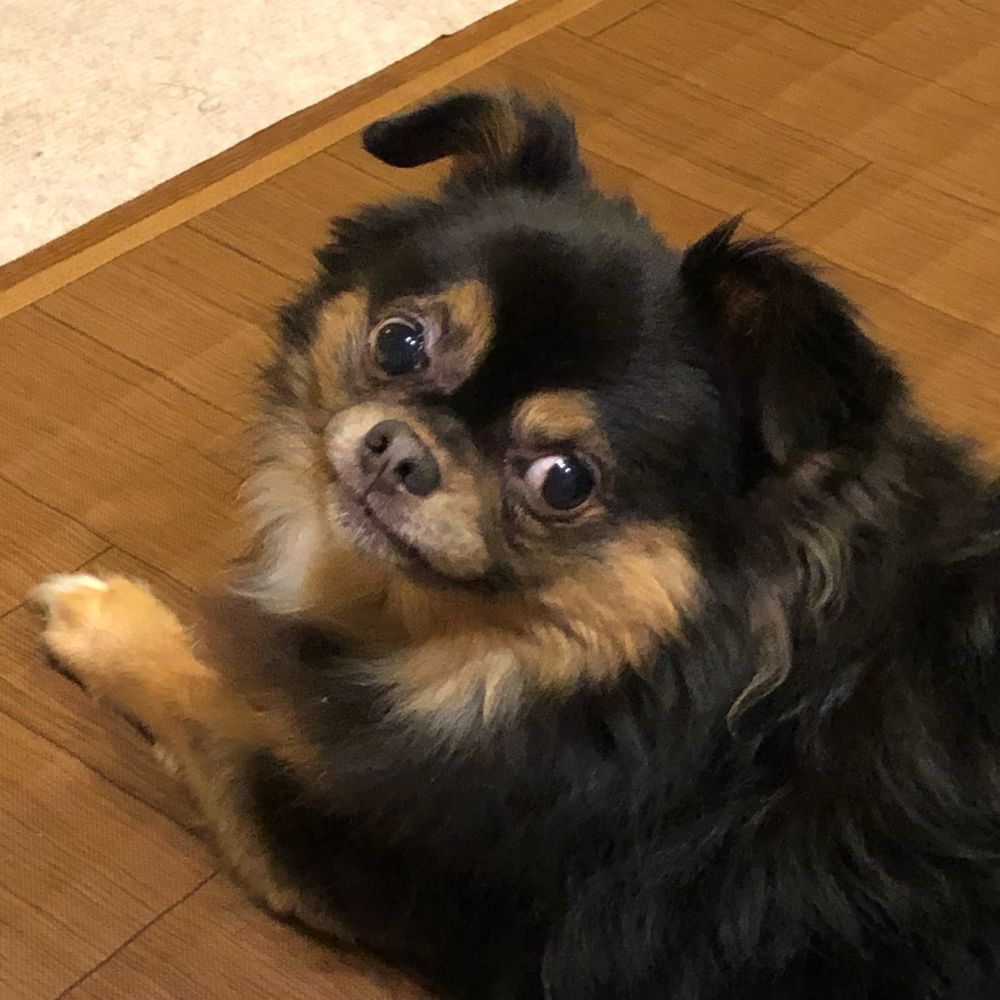 みきまろ