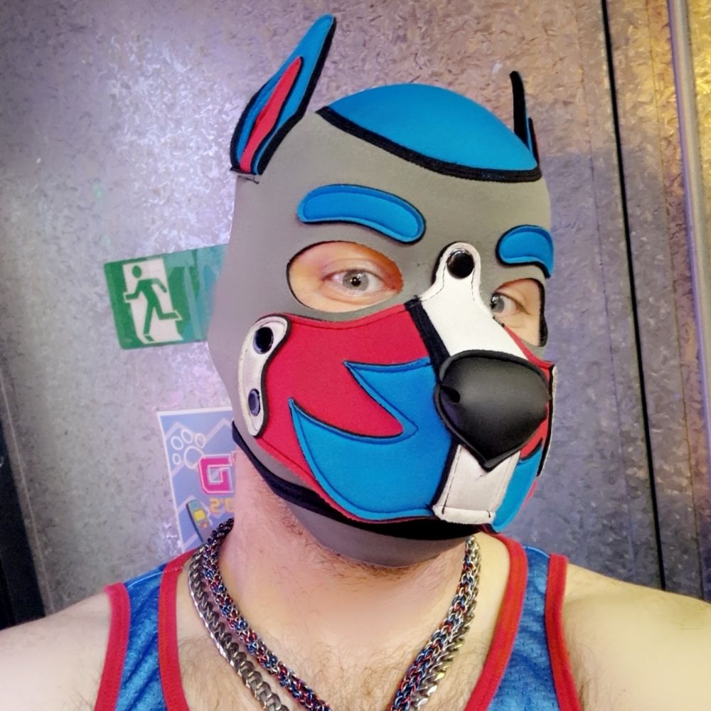 Boomer the Pup