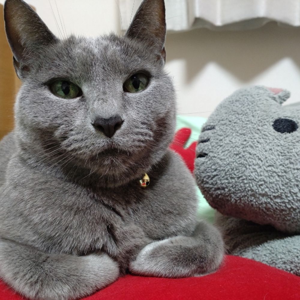 mimi