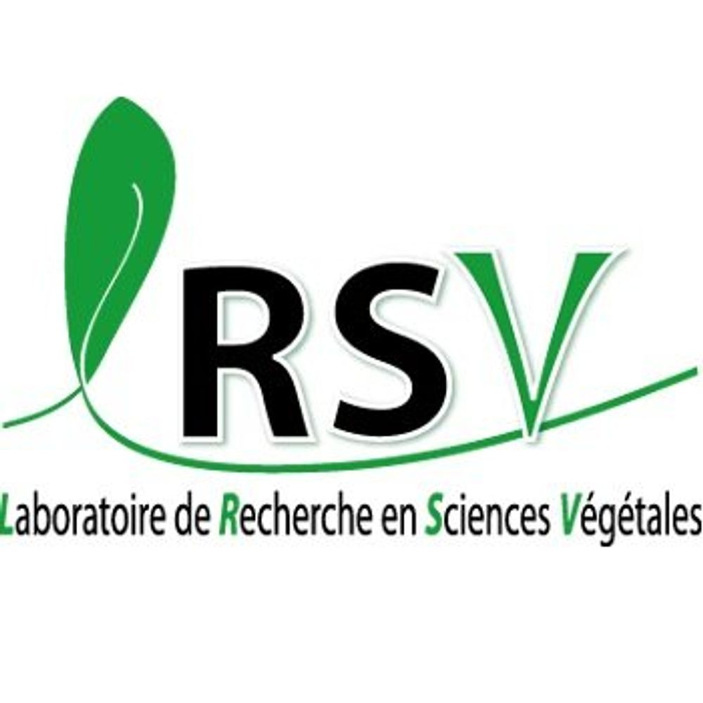 Profile picture lrsv-toulouse.bsky.social