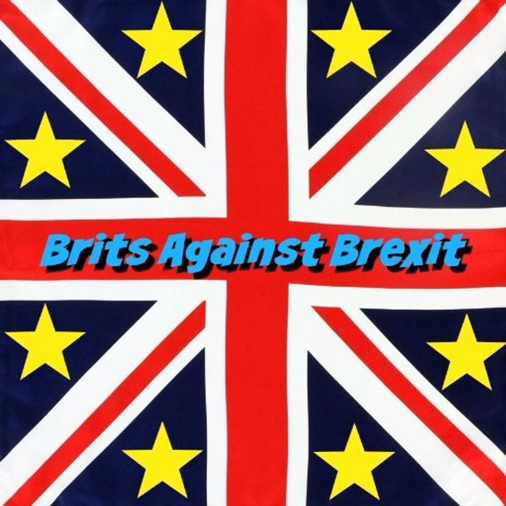 BritsAgainstBrexit 🇪🇺🇺🇦🇪🇭✌#FBPE's avatar
