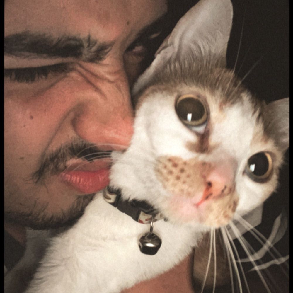 vic 🐈