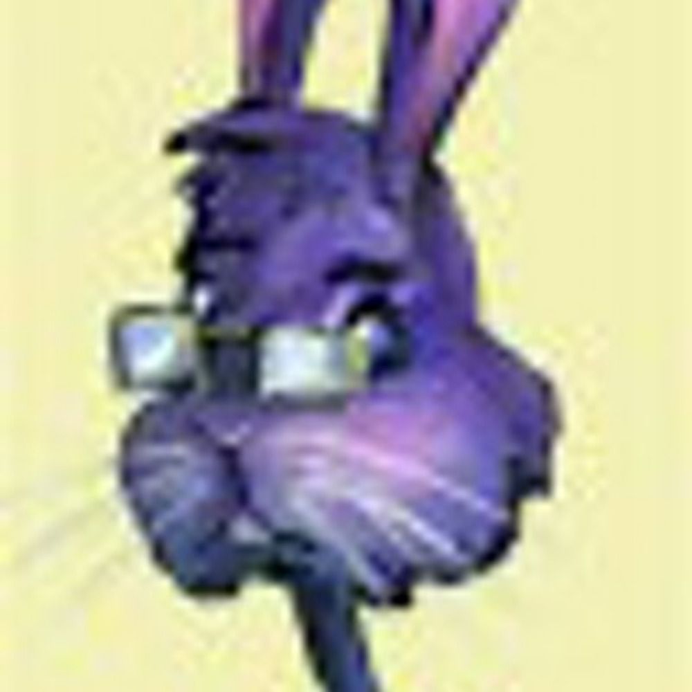 BouncyBunny.bsky.social