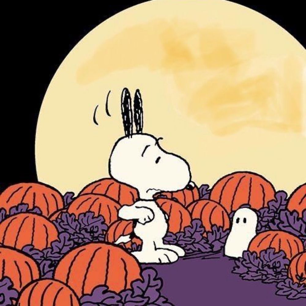 chloe 🎃