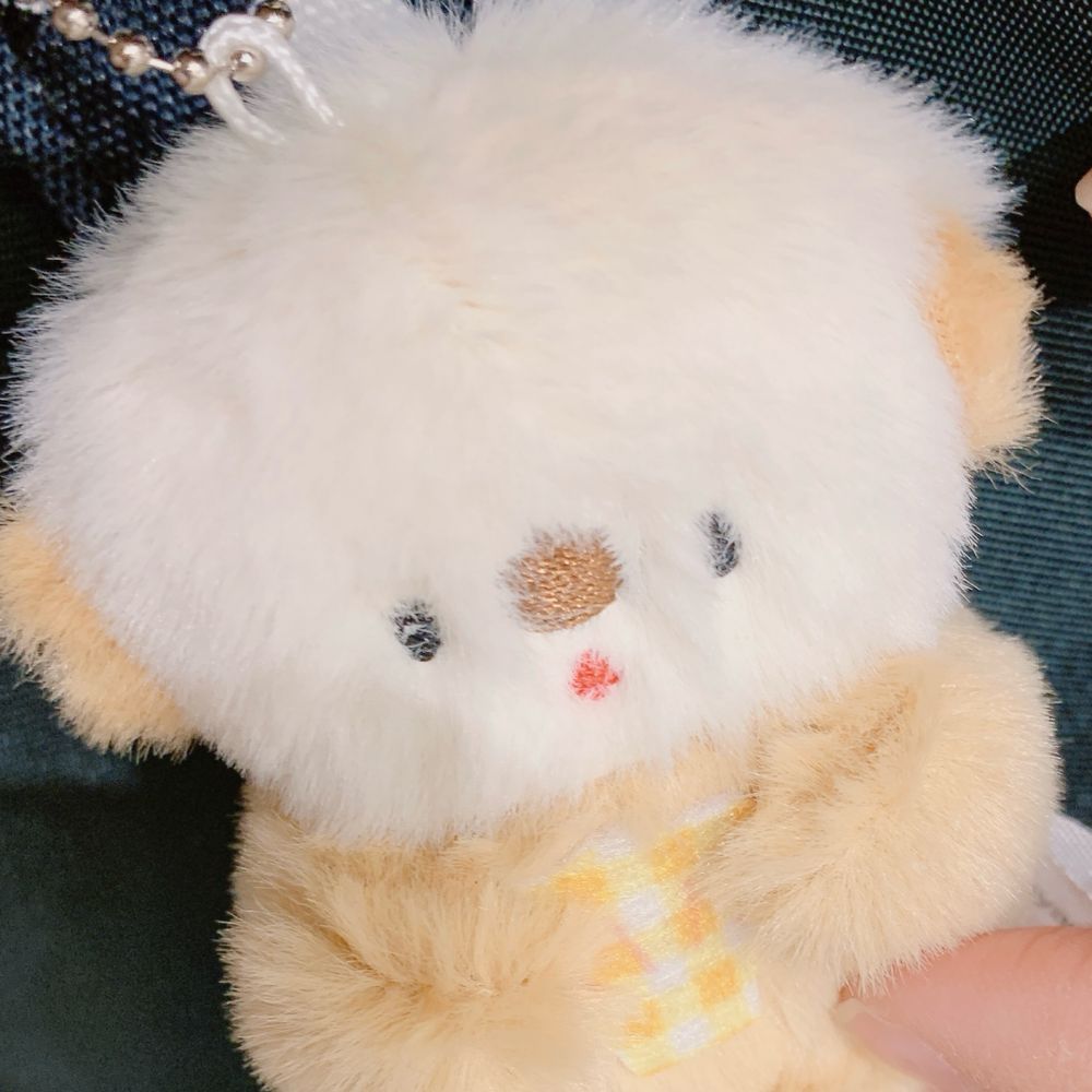Ꮚˊ> ﻌ <ˋᏊ