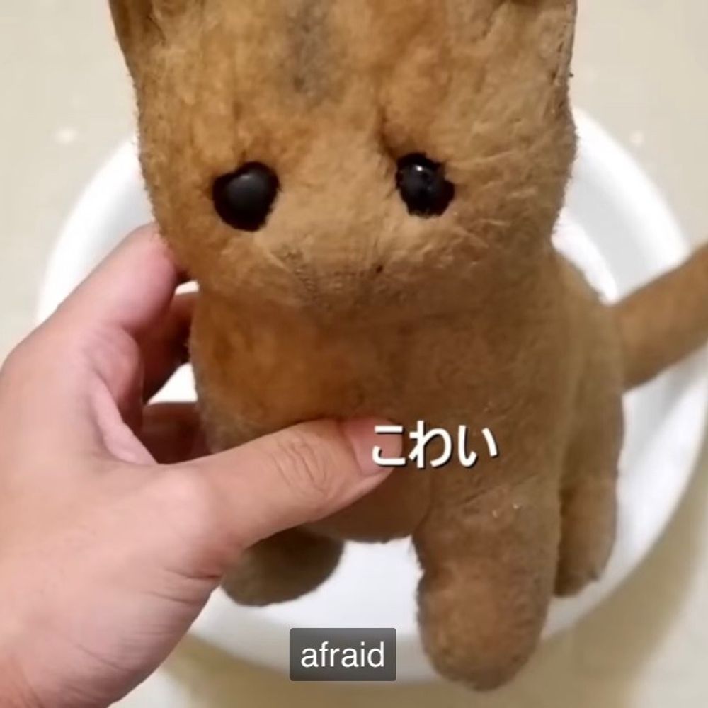 soap