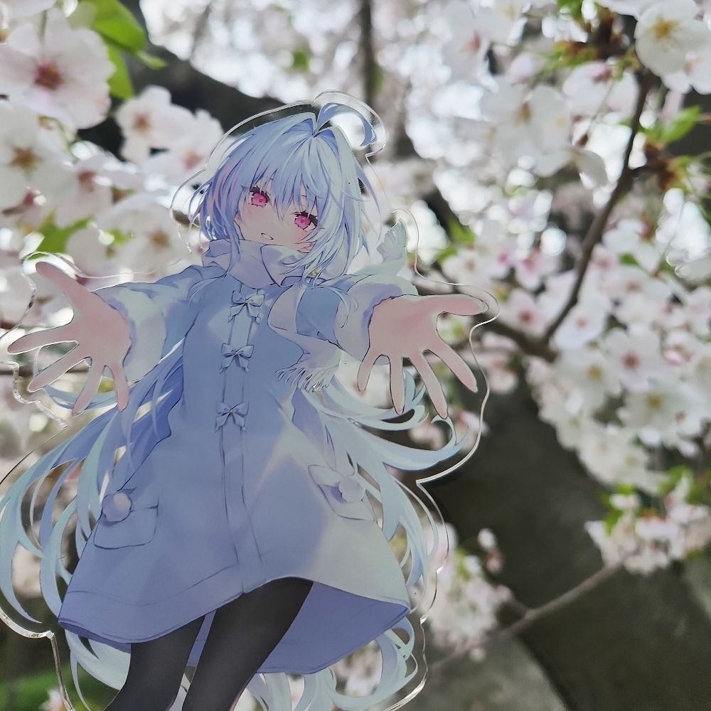 kumasy（くましぃ）