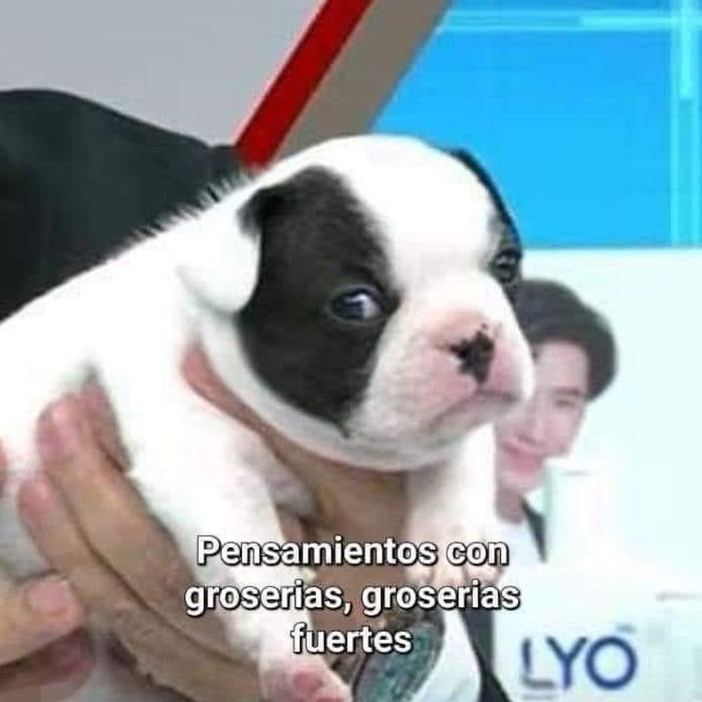 Coolio Iglesias