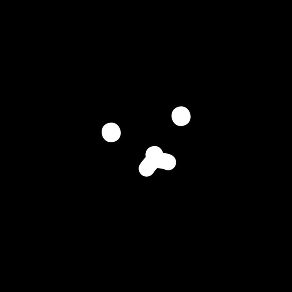 ˙ᴥ˙