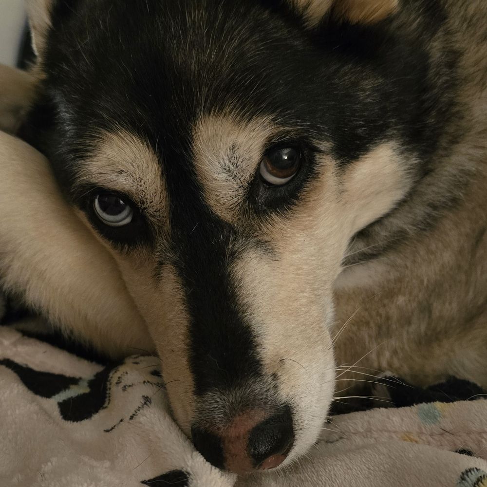 Miki