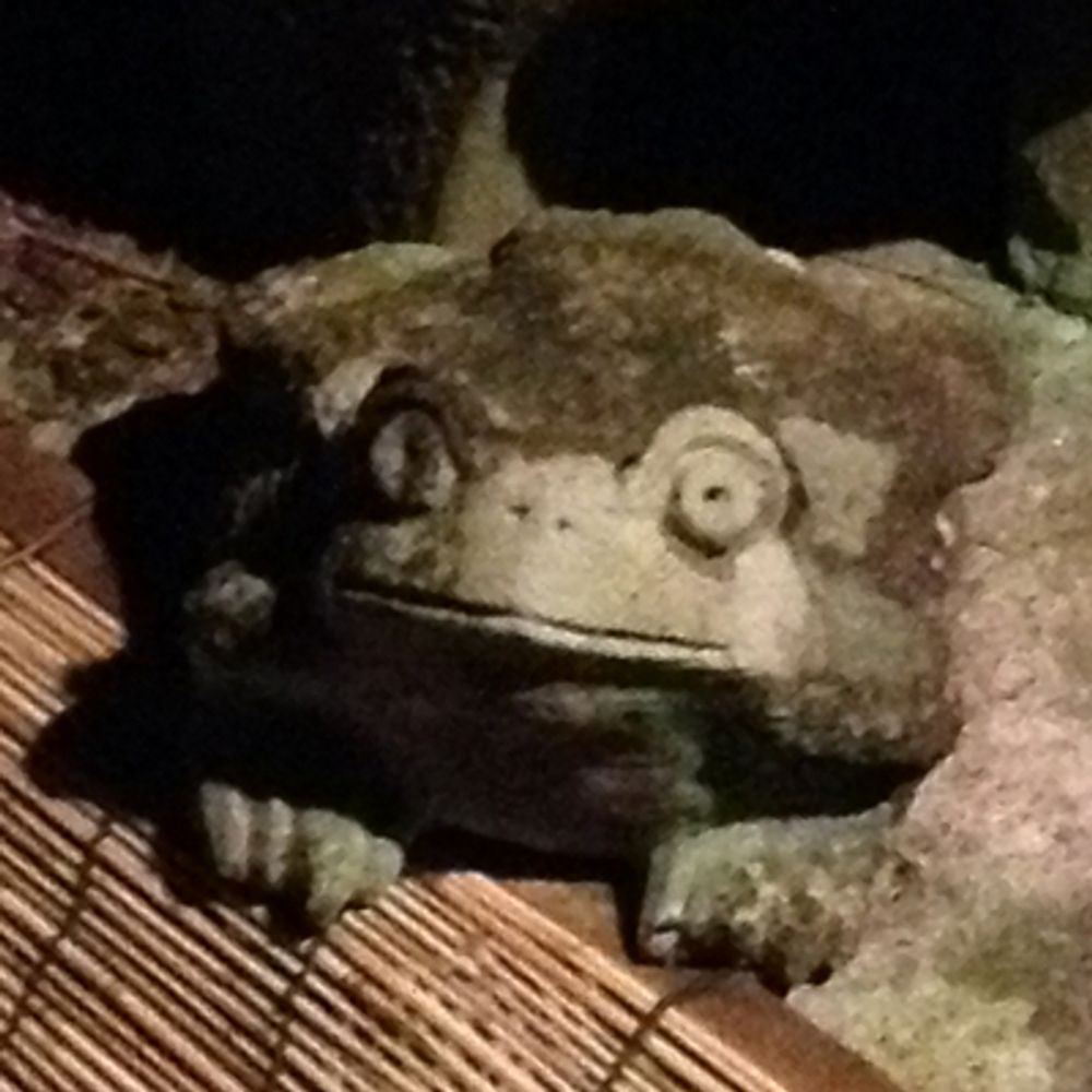 まいす