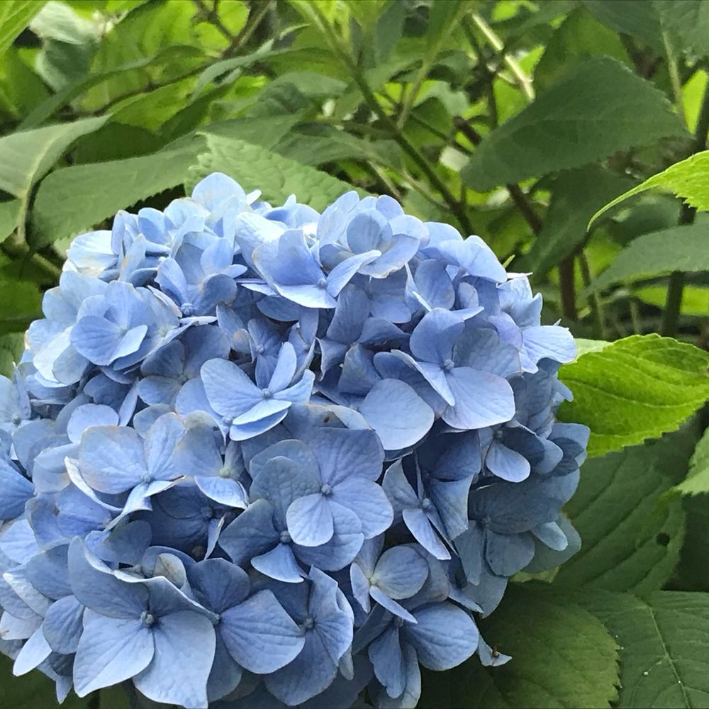 春塩
