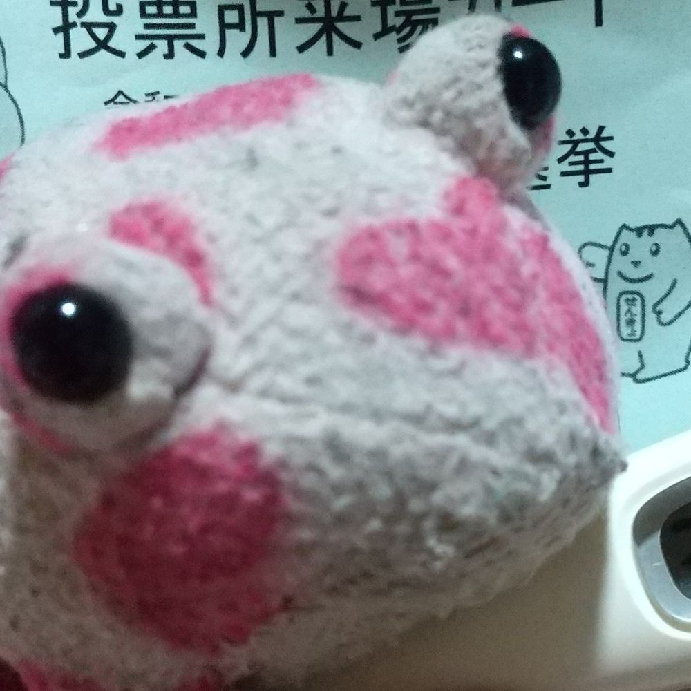 ちぴfb