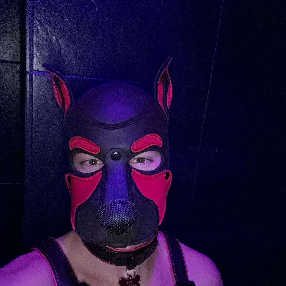 Pup Jäger