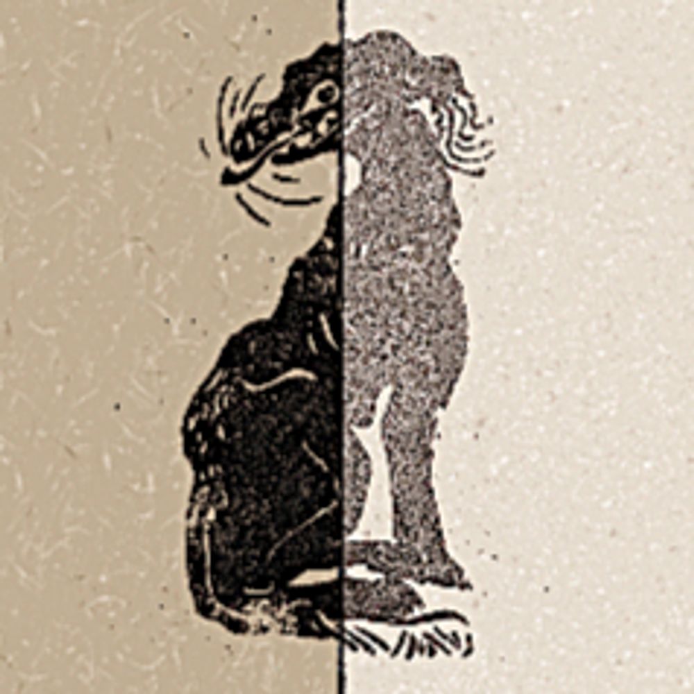 トイ・ヨウ/Toi Yoh「多聞さんのおかしなともだち」発売中📖