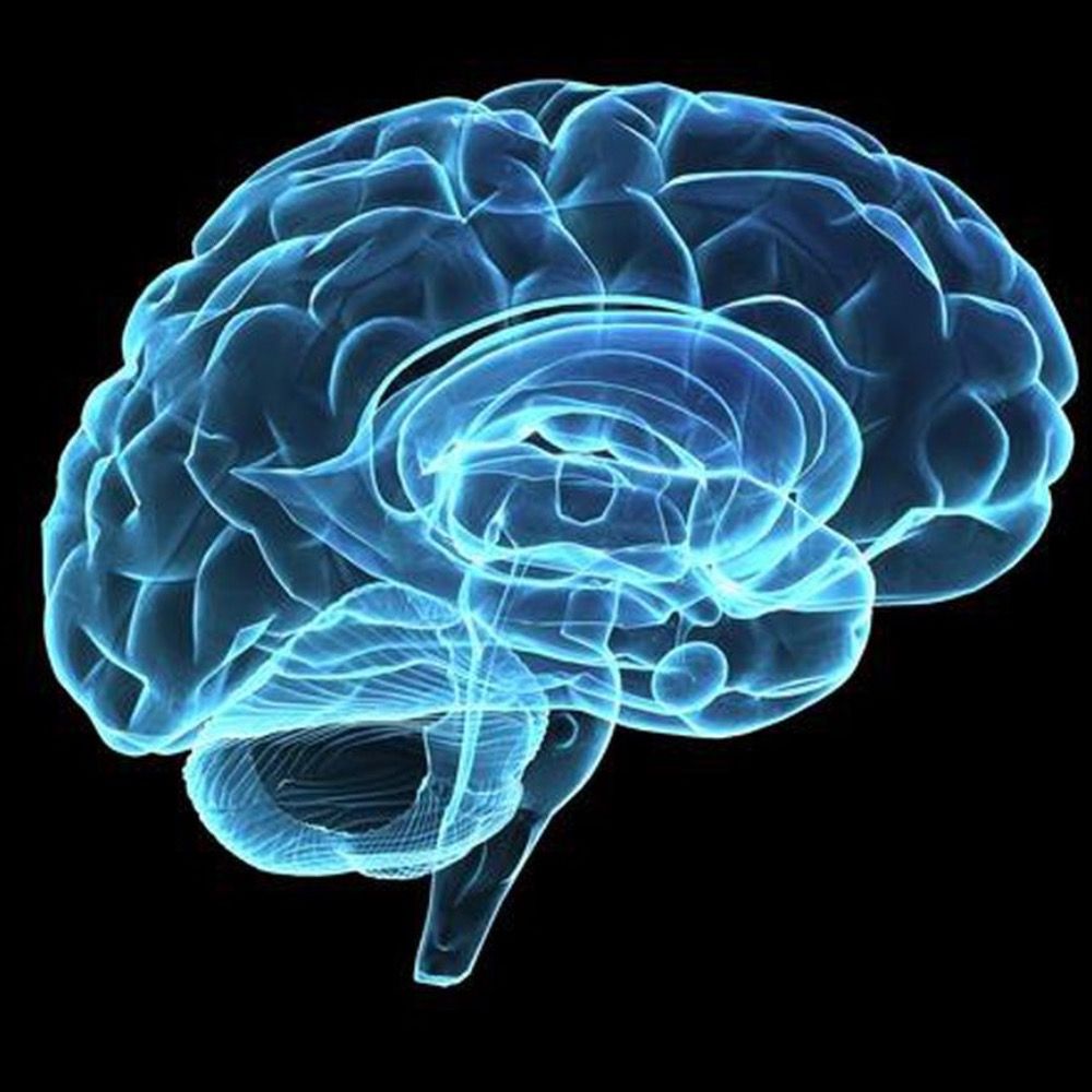 🧠 Dave’s Brain 🧠 