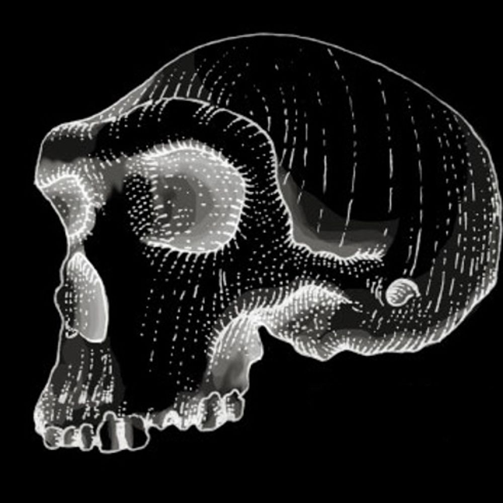 Human Evolution and Prehistory