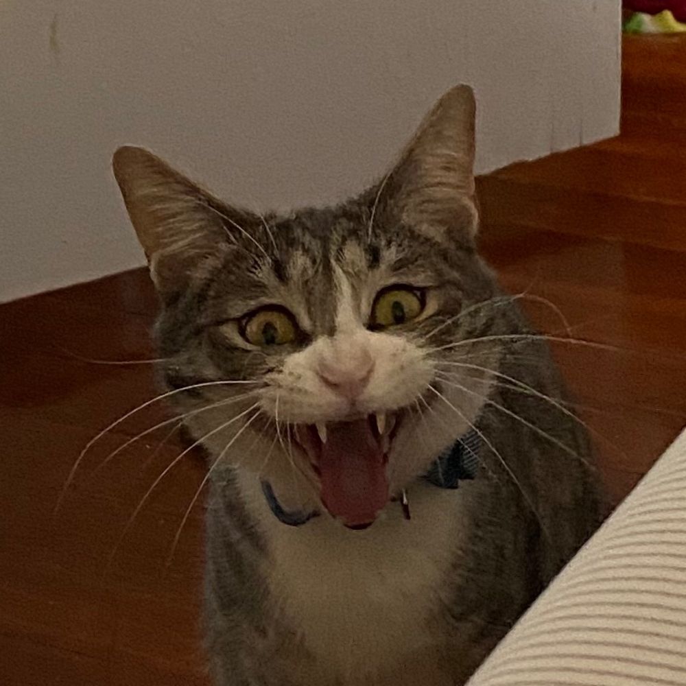 F!nn 