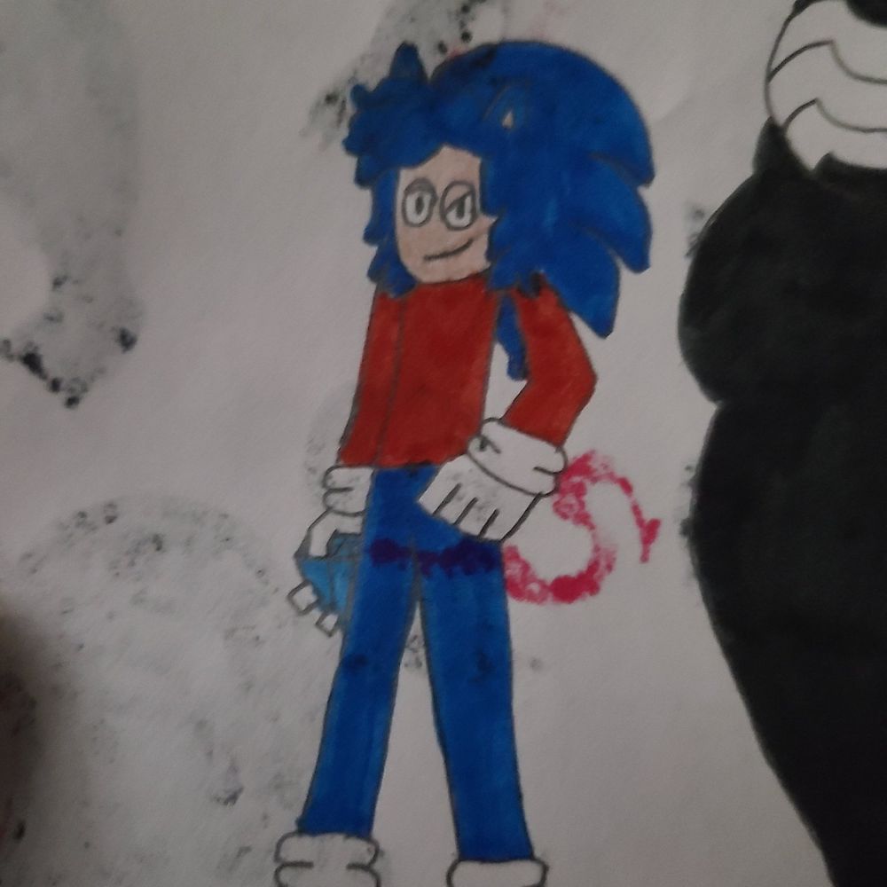 ❤️💙Aydan The Hedgehog💙❤️