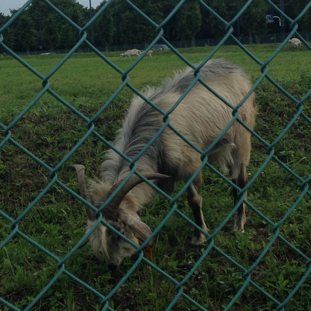 たっつぁん