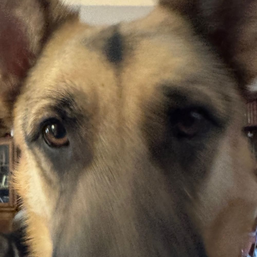 eliwinsagain.bsky.social profile picture