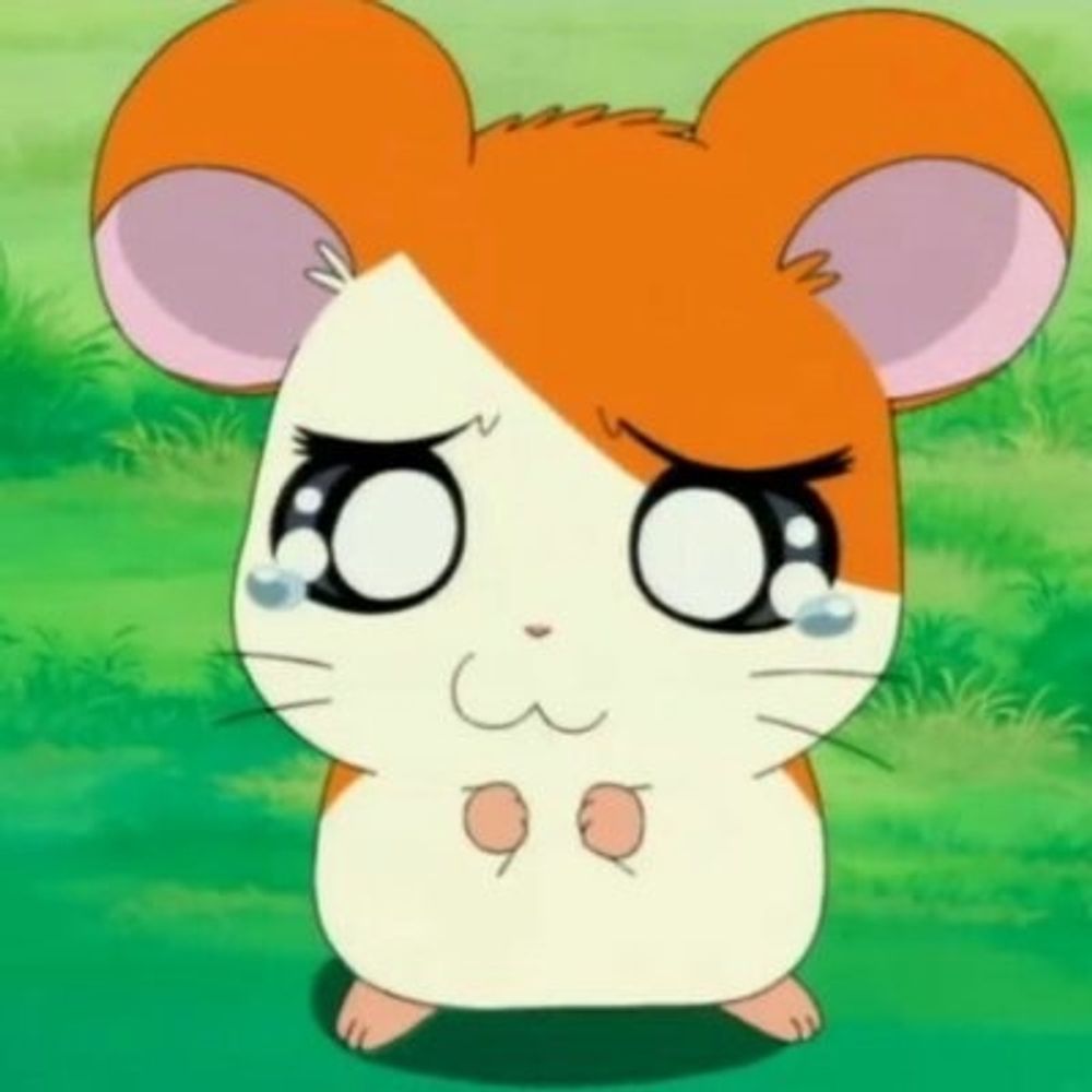 HRTR@