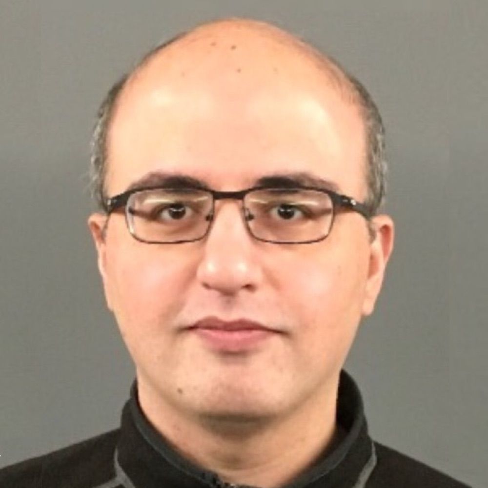 Reza Rajimehr