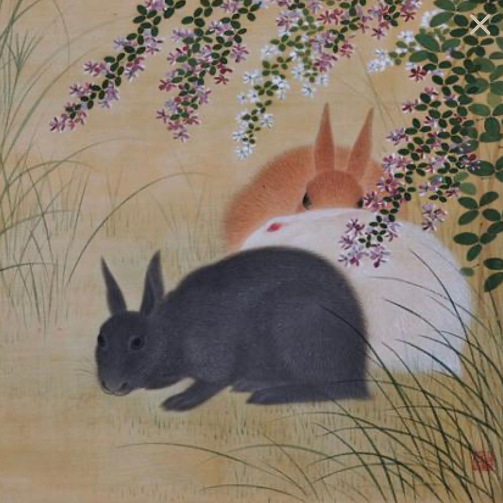 RabbitRabbitRabbit