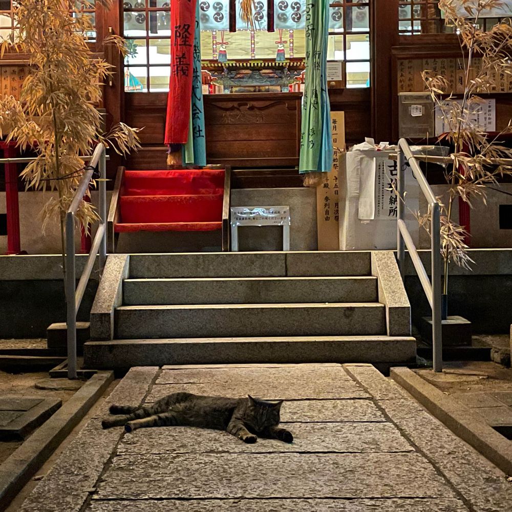 横堤八幡宮