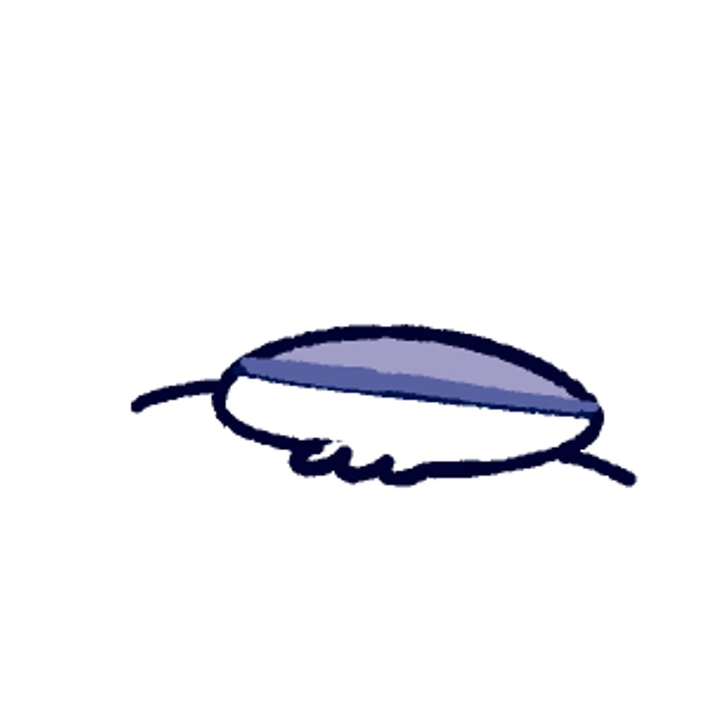 관🥟